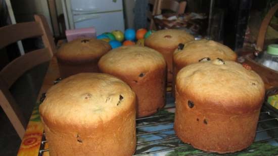 Kulich con Myasoedovskaya en el horno (clase magistral)