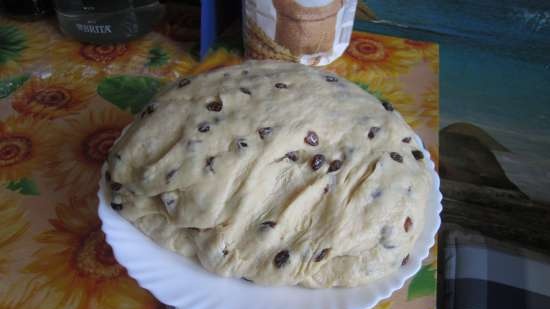 Kulich Myasoedovskaya-val a sütőben (mesterkurzus)