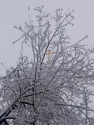 Στεφάνι από κεράσι προς τον Άγιο Νικόλαο (Σαρακοστή)