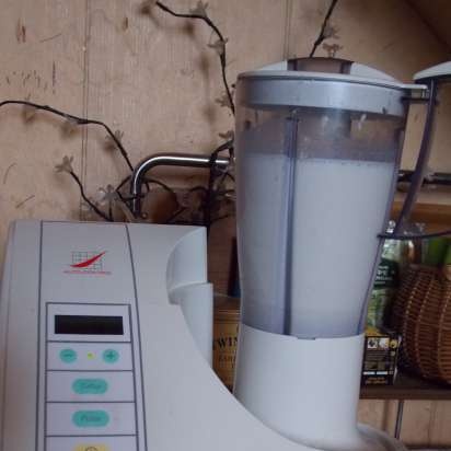 Yoghurtmaker Merk 100