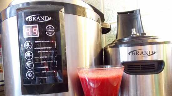 Vijzel juicer merk 9100