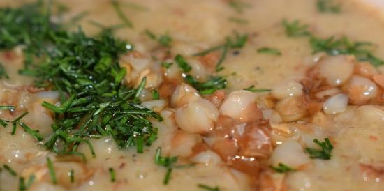 Sopa de crema de fajol amb bolets porcini a la batedora de sopa Dobrynya