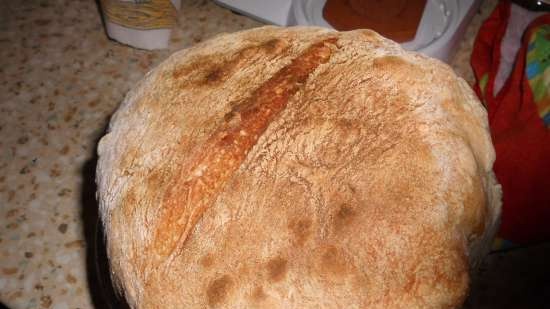 Artisanal bread without kneading