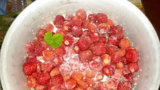 Fragole secche