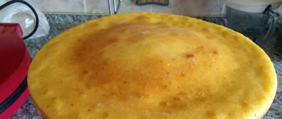 Tortilla de maíz bosnia (pizzero Princess 115000)