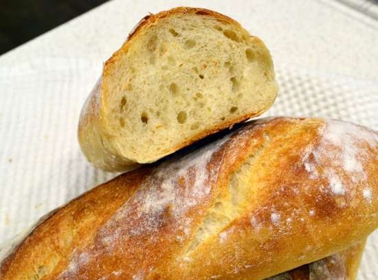 Stokbrood op oud deeg / Baguette de pate fermentee (oven)