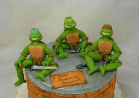 Teenage Mutant Ninja Turtles Cakes