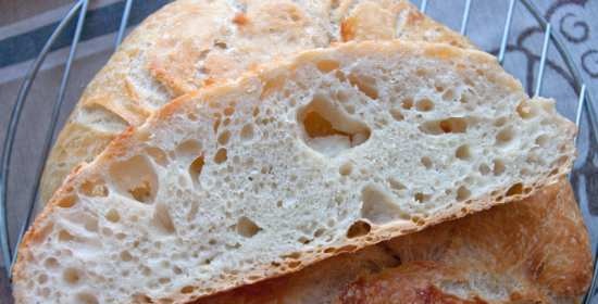 Pane senza impastare in 13 ore (in forno)