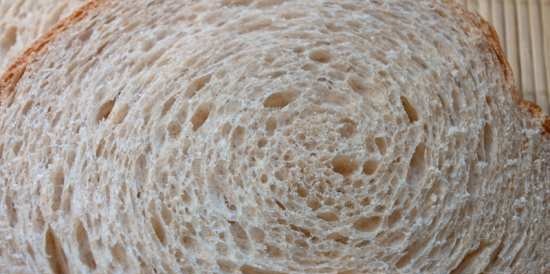 Light Wheat Whole Grain Bread by Peter Reinhart