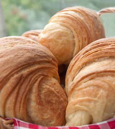 Els croissants són mandrosos