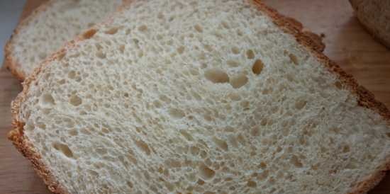 Pane morbido in una macchina per il pane