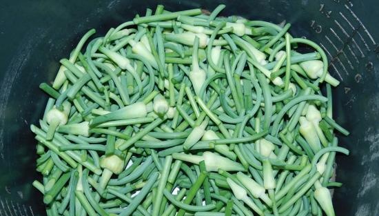 Insalata di freccia all'aglio