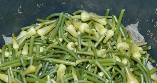 Insalata di freccia all'aglio