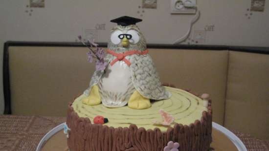 Characters m / f and animals (3D cakes)