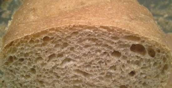 Whole Wheat 50:50 Impasto per Pane e Pizza (Peter Reinhart)