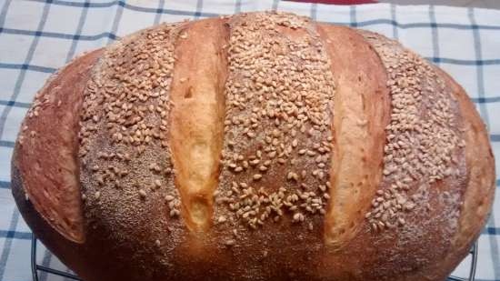 Pane di grano su pasta matura (autolievitazione)