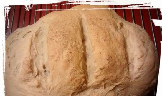 Pane di grano su pasta matura (autolievitazione)