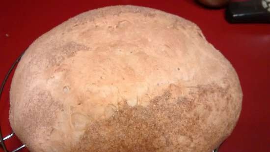 Pane di grano su pasta matura (autolievitazione)