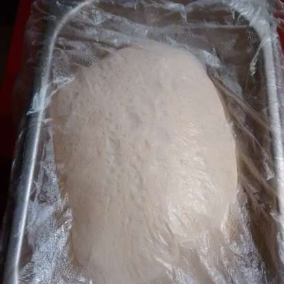 Pizza Dough Neapolitan (Neo-Neopolitan Pizza Dough) Peter Reinhart