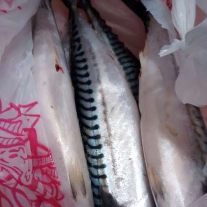 Mackerel batay sa herring sa istilong Dutch