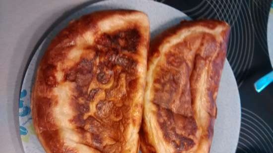 Khachapuri سريع بطريقة مختلفة في شواية ملامسة VVK