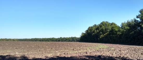 Warme en koude sleedoornsauzen