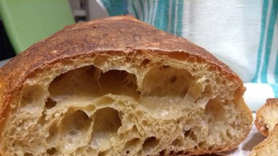 Artisanal bread without kneading