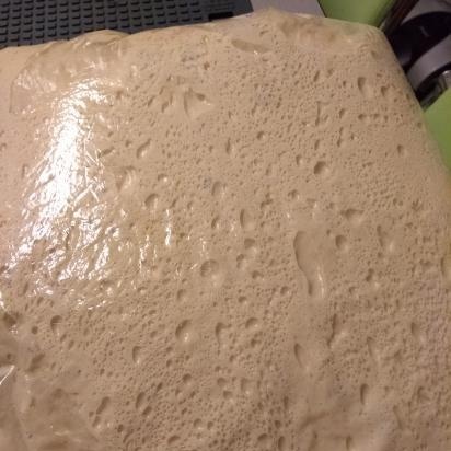 Neo-Neopolitan Pizza Dough by Peter Reinhart