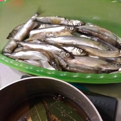 Capelin gia vị