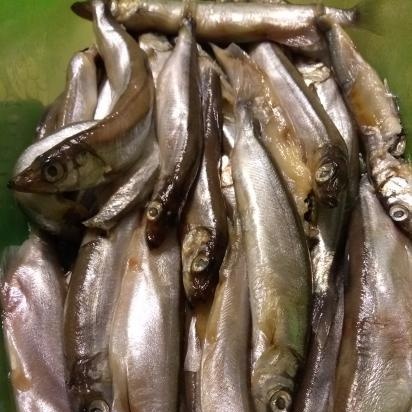 Capelin gia vị