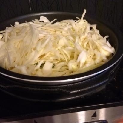 Stewed Cabbage (Steba DD1)