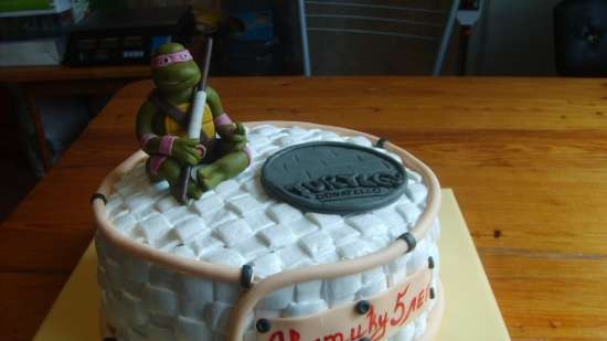 Teenage Mutant Ninja Turtles Cakes