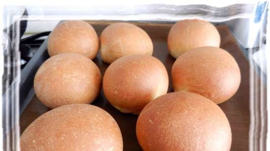 Pane di grano su kefir con uovo in una macchina per il pane