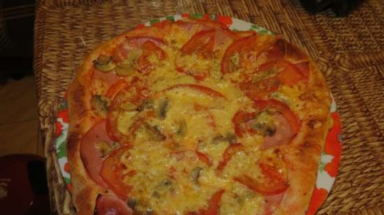 Forno per pizza