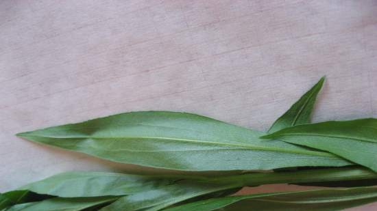 Ivan tea (fermentation of fireweed leaves) - master class