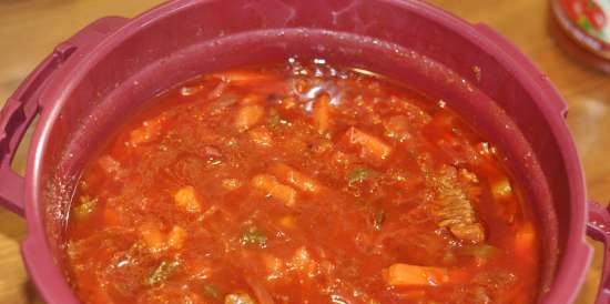 Borscht in TupperKuk (microwave pressure cooker)