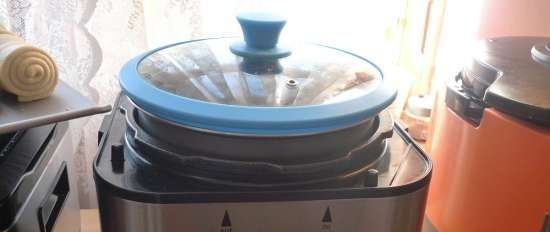 Multicooker-snelkookpan-slowcooker Steba DD1 Eco