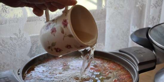 Sopa de pescado francesa