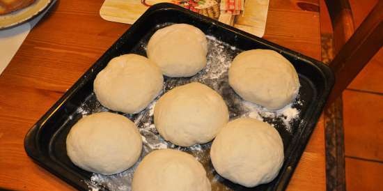 Masa madre en caldo de carne para tortillas asiáticas (clase magistral)