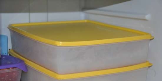 Tupperware จานพลาสติก - บทวิจารณ์