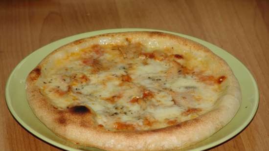 Forno per pizza