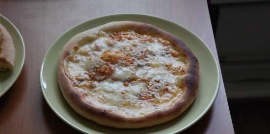 Forno per pizza