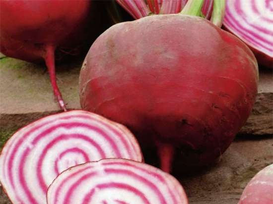 Cortador de verduras eléctrico