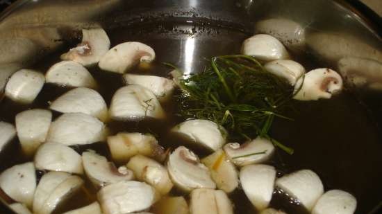 Soup with wild mushrooms and champignons in a pressure cooker Polaris 0305