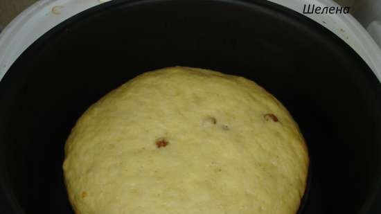 Obra mestra de Kulich al forn i multicooker Marca 502 (classe magistral)