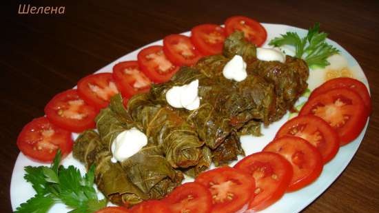 Dolma de fulles de raïm escabetxades en una olla a pressió (Polaris 0305)