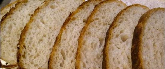 Pain de Campagne di Peter Reinhart (forno)