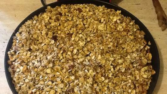 Homemade Granola - Perfect Breakfast (Princess 115000 Pizza Makers)