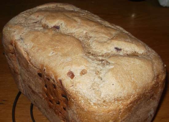 Pane di segale di grano su birra scura con cipolle