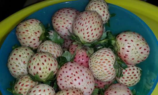 Gefermenteerde thee gemaakt van bladeren van tuin en wilde planten (masterclass)